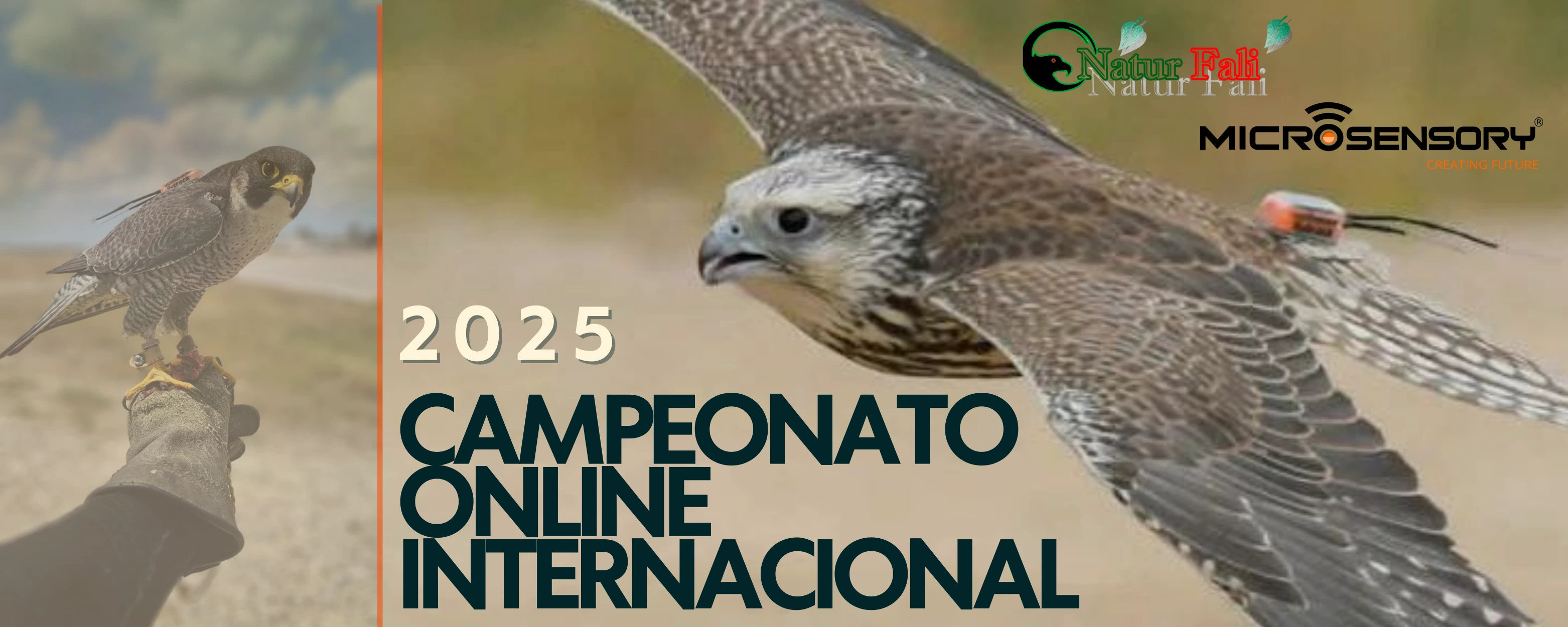Campeonato Online Internacional 2025